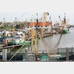 Hafen Oudeschild, Texel